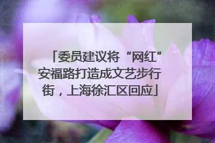 委员建议将“网红”安福路打造成文艺步行街，上海徐汇区回应