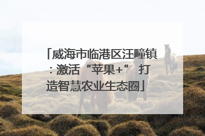 威海市临港区汪疃镇：激活“苹果+” 打造智慧农业生态圈
