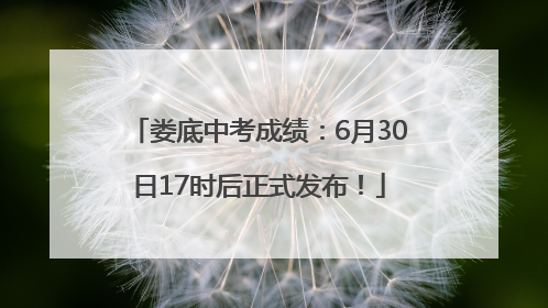 娄底中考成绩：6月30日17时后正式发布！