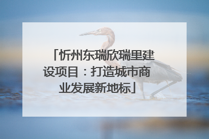 忻州东瑞欣瑞里建设项目：打造城市商业发展新地标