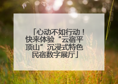 心动不如行动！快来体验“云宿平顶山”沉浸式特色民宿数字展厅