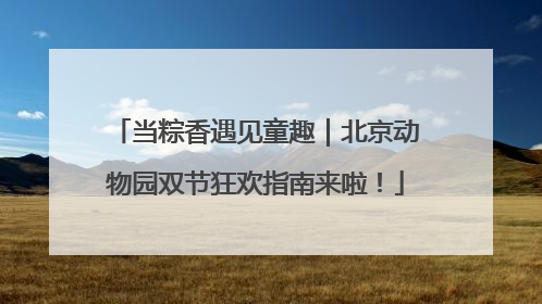 当粽香遇见童趣｜北京动物园双节狂欢指南来啦！