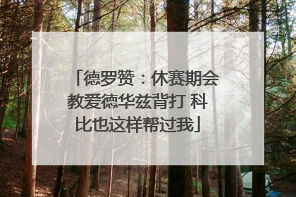 德罗赞：休赛期会教爱德华兹背打 科比也这样帮过我