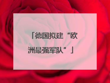 德国拟建“欧洲最强军队”