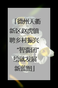 德州天衢新区赵虎镇聘乡村振兴“智囊团” 绘就发展新蓝图