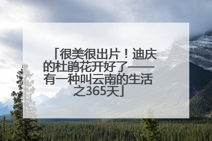 很美很出片！迪庆的杜鹃花开好了——有一种叫云南的生活之365天