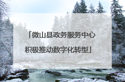 微山县政务服务中心积极推动数字化转型