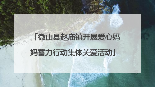微山县赵庙镇开展爱心妈妈蓄力行动集体关爱活动