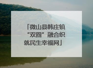 微山县韩庄镇“双圈”融合织就民生幸福网