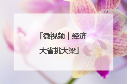 微视频｜经济大省挑大梁