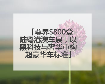 尊界S800登陆粤港澳车展，以黑科技与奢华重构超豪华车标准