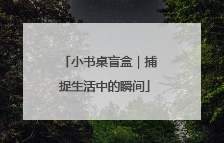 小书桌盲盒｜捕捉生活中的瞬间