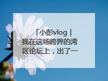 小彭vlog｜我在这场跨界的湾区论坛上，出了一道高考题……