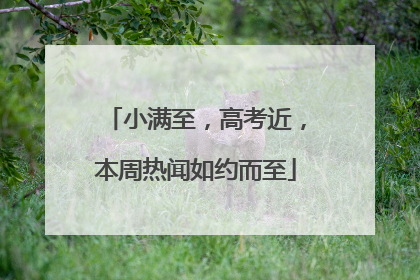 小满至，高考近，本周热闻如约而至