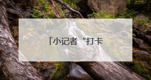 小记者“打卡”法院 “沉浸式”与法同行