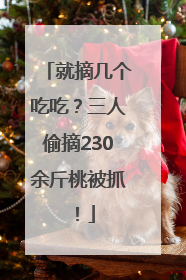 就摘几个吃吃？三人偷摘230余斤桃被抓！