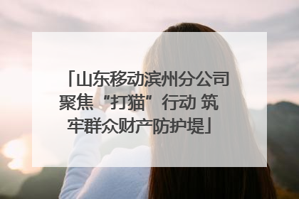 山东移动滨州分公司聚焦“打猫”行动 筑牢群众财产防护堤