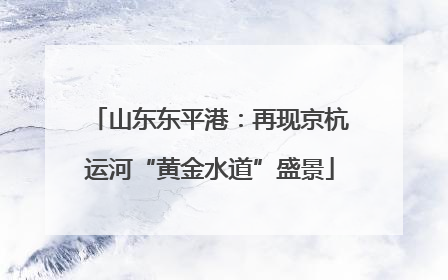 山东东平港：再现京杭运河“黄金水道”盛景