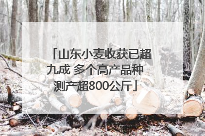 山东小麦收获已超九成 多个高产品种测产超800公斤