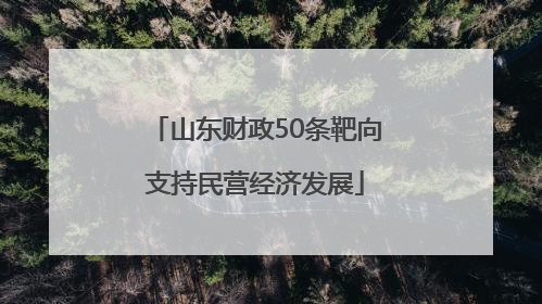 山东财政50条靶向支持民营经济发展
