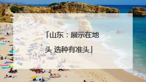 山东:展示在地头 选种有准头