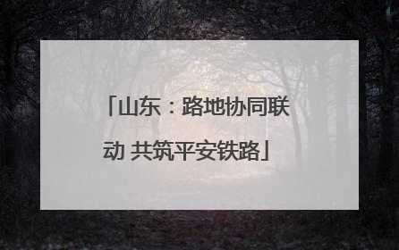 山东：路地协同联动 共筑平安铁路