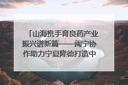 山海携手育良药产业振兴谱新篇——闽宁协作助力宁夏隆德打造中药材产业高地