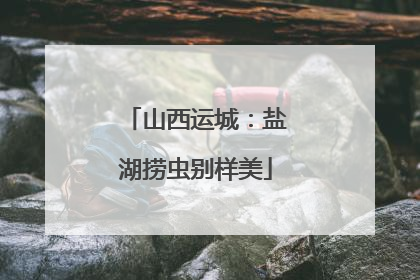 山西运城：盐湖捞虫别样美