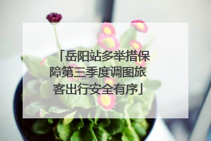 岳阳站多举措保障第三季度调图旅客出行安全有序