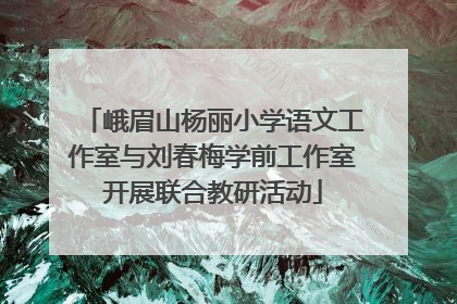 峨眉山杨丽小学语文工作室与刘春梅学前工作室开展联合教研活动