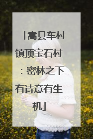 嵩县车村镇顶宝石村：密林之下有诗意有生机