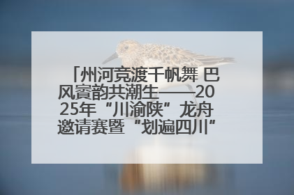 州河竞渡千帆舞 巴风賨韵共潮生——2025年“川渝陕”龙舟邀请赛暨“划遍四川”达川站圆满收官
