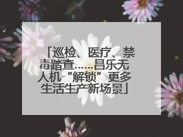 巡检、医疗、禁毒踏查……昌乐无人机“解锁”更多生活生产新场景