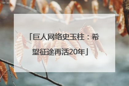 巨人网络史玉柱：希望征途再活20年