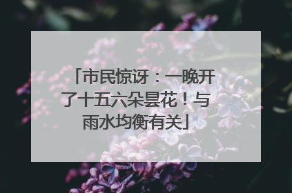 市民惊讶：一晚开了十五六朵昙花！与雨水均衡有关