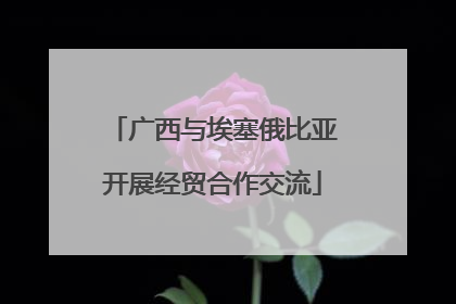 广西与埃塞俄比亚开展经贸合作交流