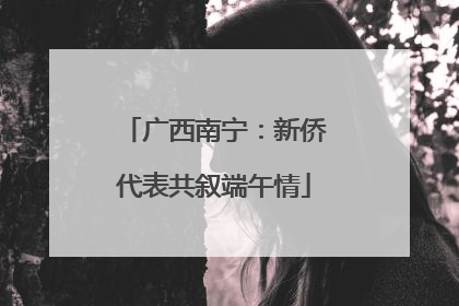 广西南宁：新侨代表共叙端午情