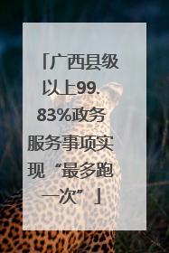 广西县级以上99.83%政务服务事项实现“最多跑一次”