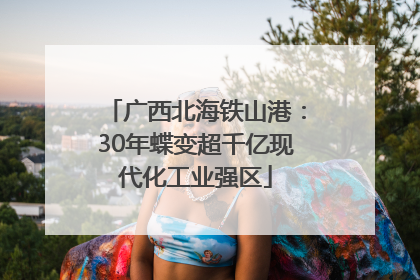 广西北海铁山港：30年蝶变超千亿现代化工业强区