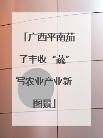 广西平南茄子丰收“蔬”写农业产业新图景