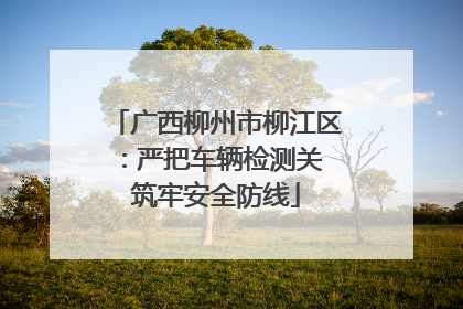广西柳州市柳江区：严把车辆检测关 筑牢安全防线