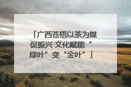 广西苍梧以茶为媒促振兴 文化赋能“绿叶”变“金叶”