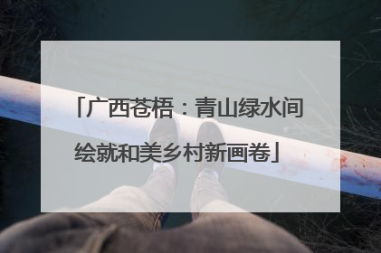 广西苍梧：青山绿水间绘就和美乡村新画卷