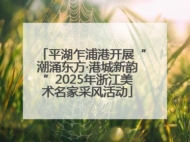 平湖乍浦港开展“潮涌东方·港城新韵”2025年浙江美术名家采风活动