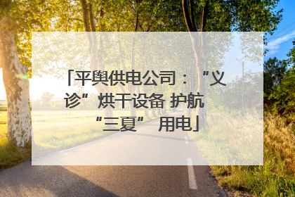 平舆供电公司：“义诊”烘干设备 护航 “三夏” 用电