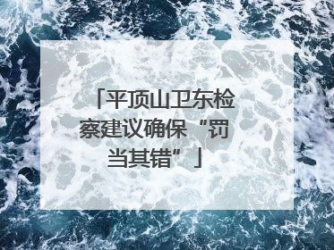 平顶山卫东检察建议确保“罚当其错”