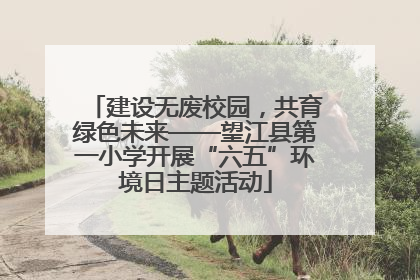 建设无废校园，共育绿色未来——望江县第一小学开展“六五”环境日主题活动