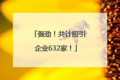 强劲！共计招引企业632家！