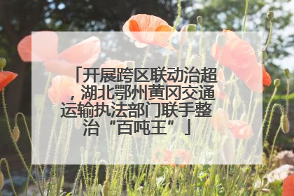 开展跨区联动治超，湖北鄂州黄冈交通运输执法部门联手整治“百吨王”