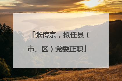张传宗，拟任县（市、区）党委正职
